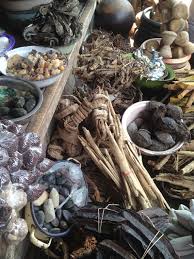 What are the advantages of traditional healers 2