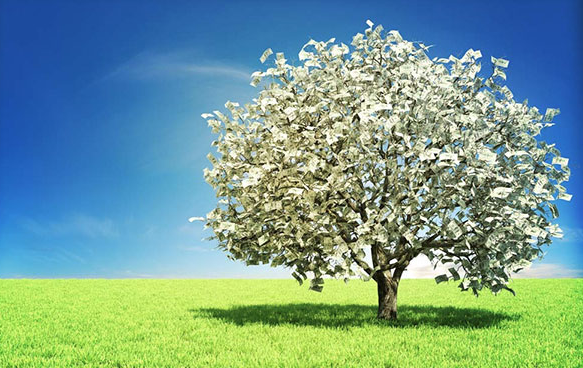 money trees