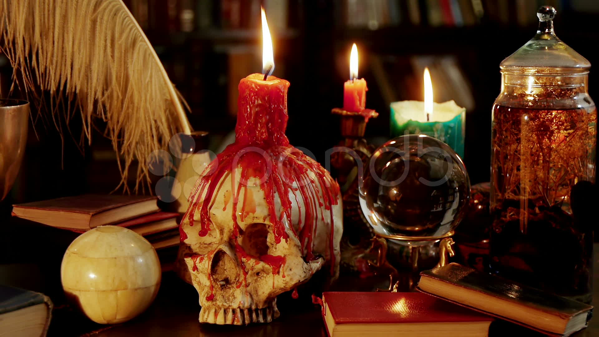 usa voodoo love spell casters