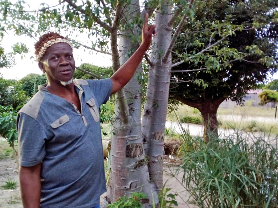 Traditional Healer In Mpumalanga