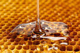 Honey love spell TikTok