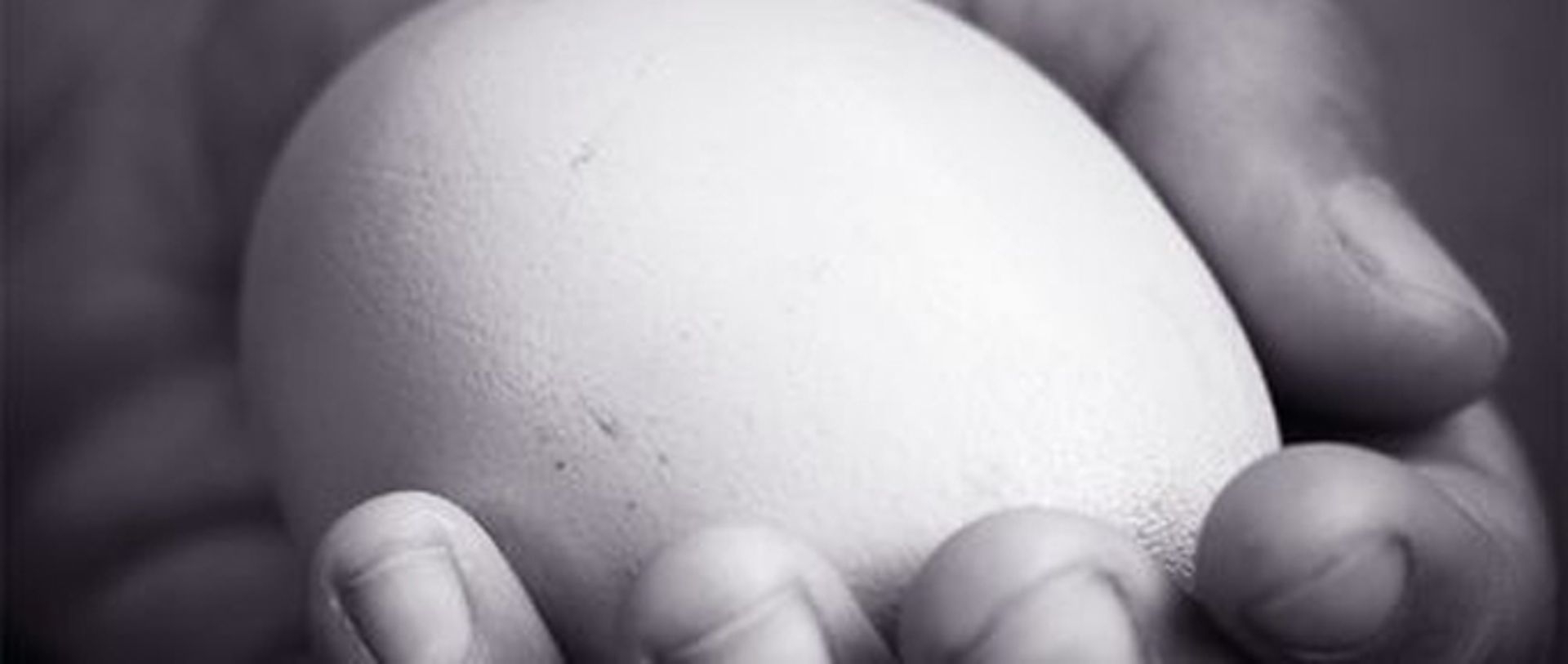 voodoo spells with eggs