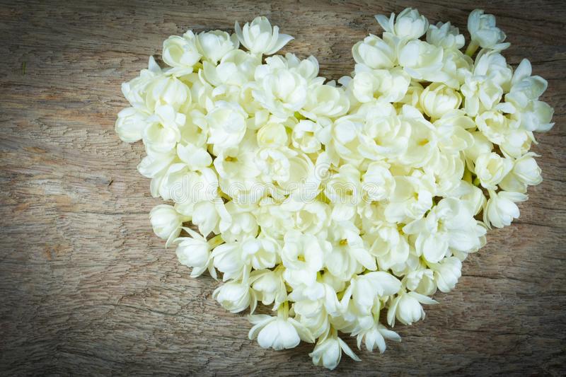 Jasmine flowers for love